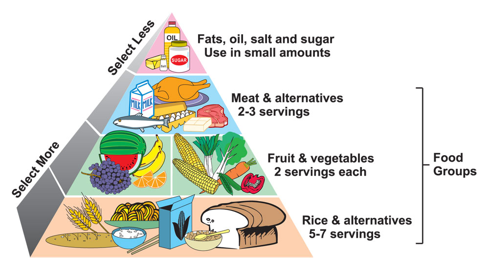Healthy Diet Pyramid | Cooking PT